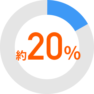 約20%